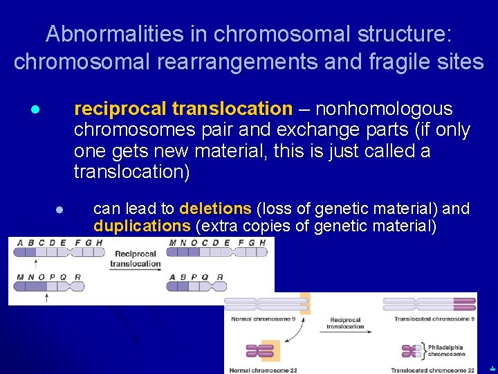 Abnormalities in chromosomal structure: chromosomal rearrangements and fragile sites reciprocal translocation – nonhomologous chromosomes