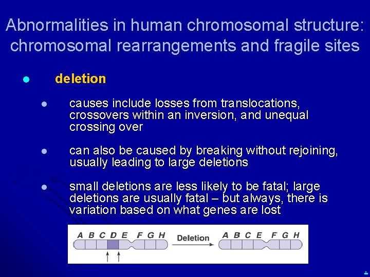 Abnormalities in human chromosomal structure: chromosomal rearrangements and fragile sites deletion l l causes