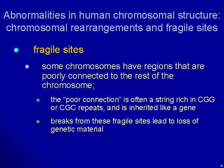 Abnormalities in human chromosomal structure: chromosomal rearrangements and fragile sites l some chromosomes have