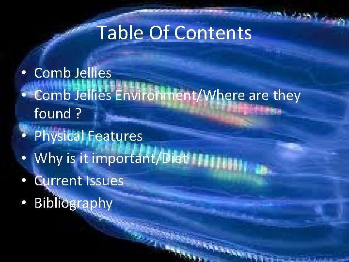 Table Of Contents • Comb Jellies Environment/Where are they found ? • Physical Features
