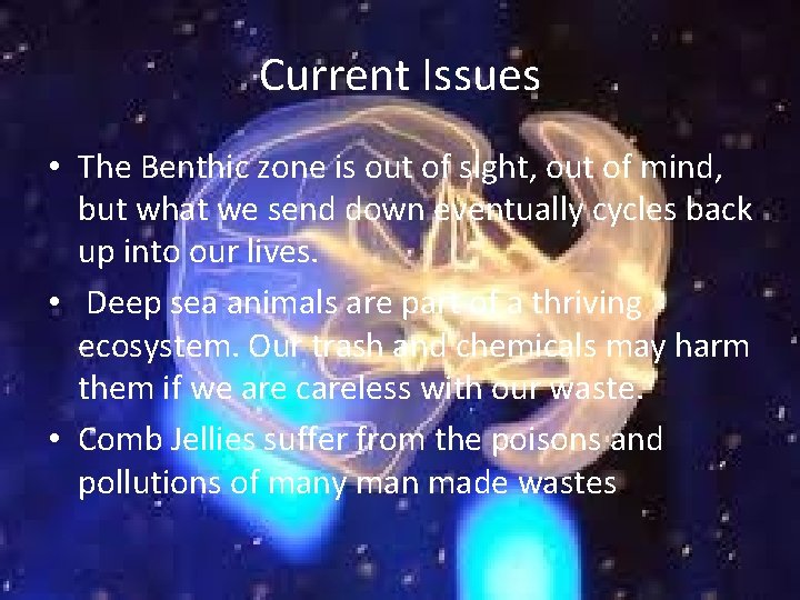 Current Issues • The Benthic zone is out of sight, out of mind, but