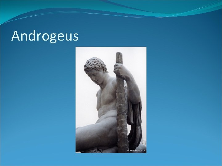 Androgeus 