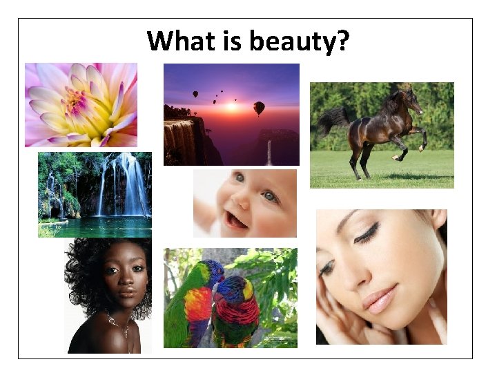 What is beauty? What is beauty?