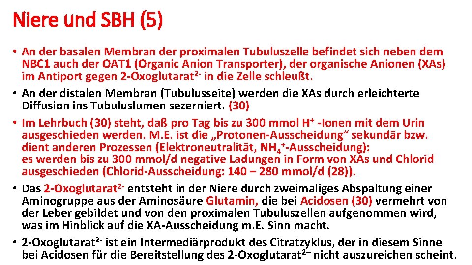 Niere und SBH (5) • An der basalen Membran der proximalen Tubuluszelle befindet sich