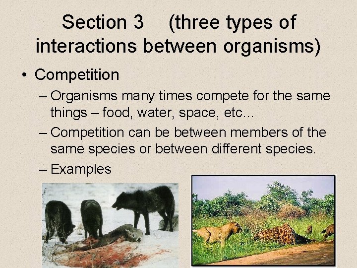 Section 3 (three types of interactions between organisms) • Competition – Organisms many times