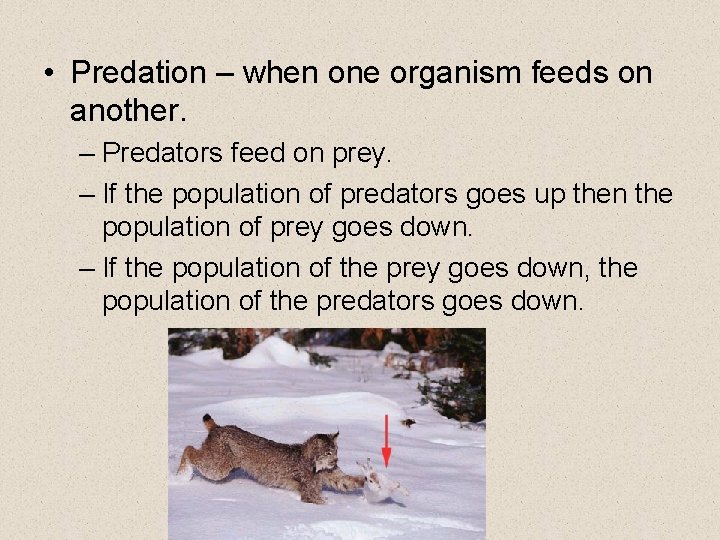  • Predation – when one organism feeds on another. – Predators feed on
