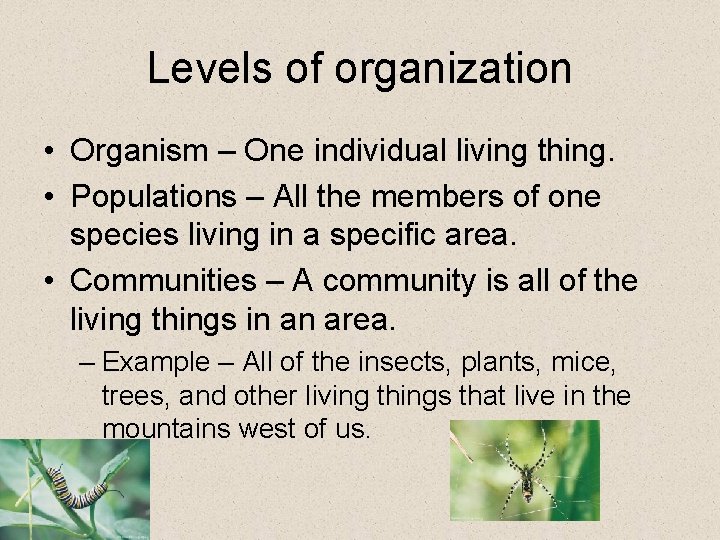 Levels of organization • Organism – One individual living thing. • Populations – All