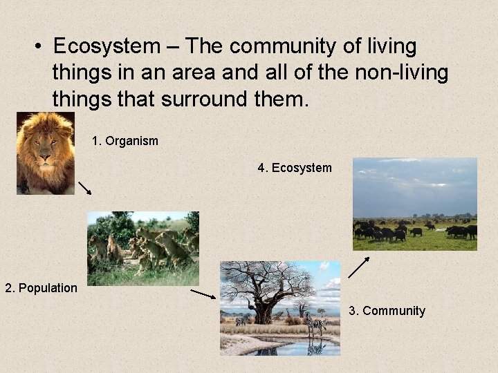  • Ecosystem – The community of living things in an area and all