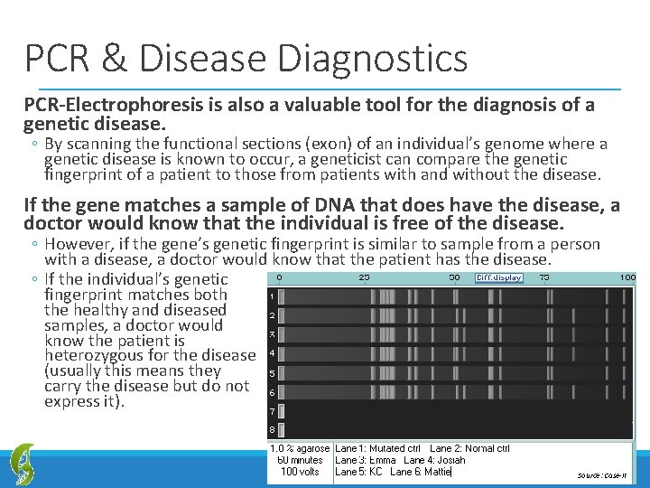 PCR & Disease Diagnostics PCR-Electrophoresis is also a valuable tool for the diagnosis of