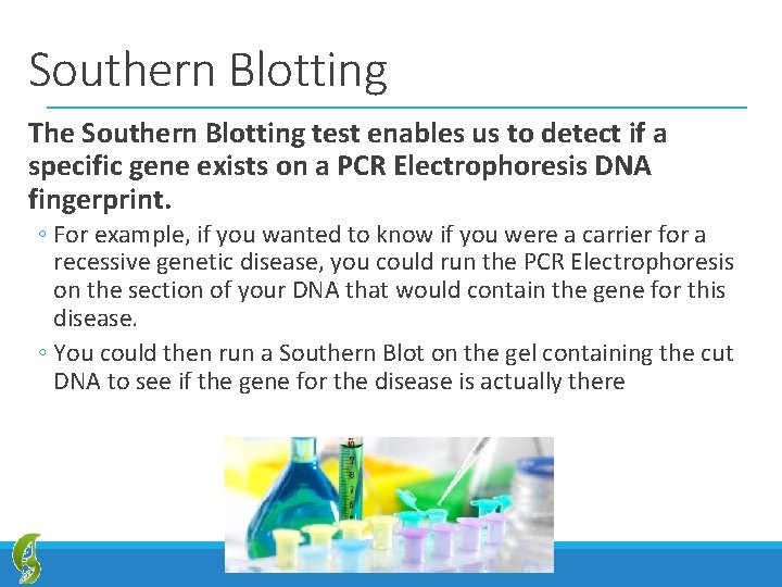 Southern Blotting The Southern Blotting test enables us to detect if a specific gene