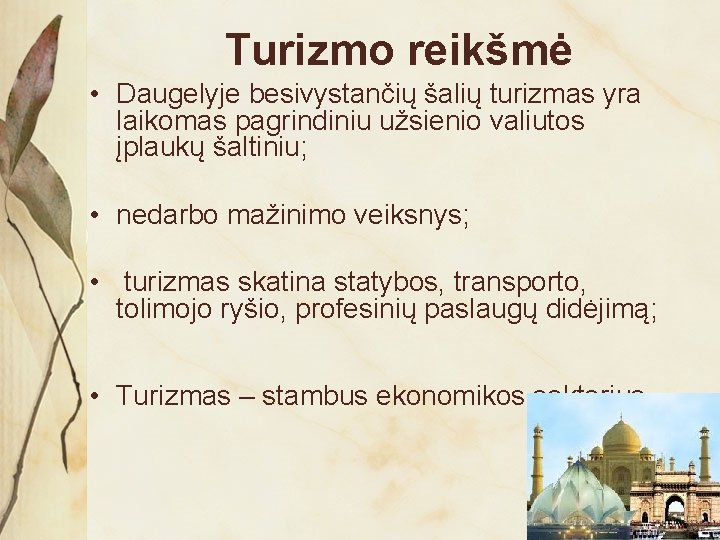 Turizmo reikšmė • Daugelyje besivystančių šalių turizmas yra laikomas pagrindiniu užsienio valiutos įplaukų šaltiniu;