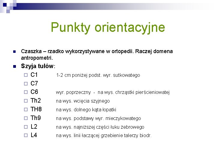 Punkty orientacyjne n Czaszka – rzadko wykorzystywane w ortopedii. Raczej domena antropometri. n Szyja