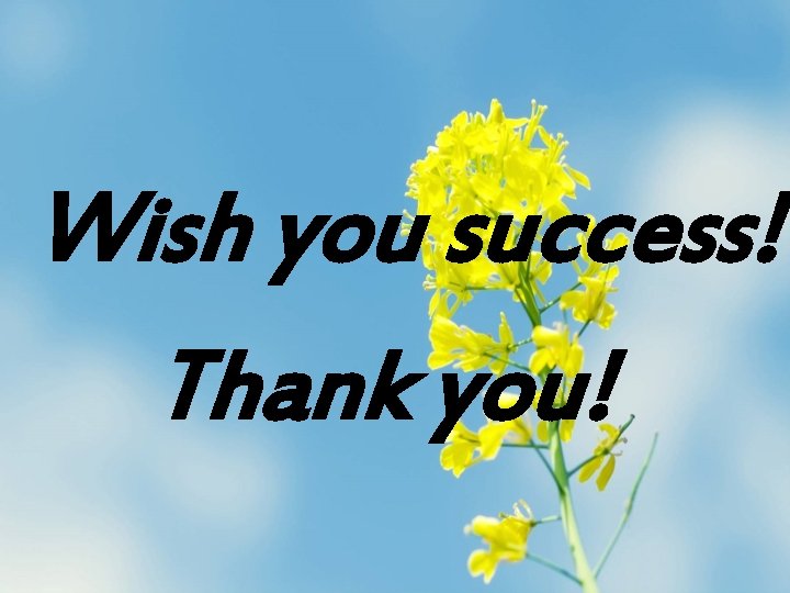 Wish you success! Thank you! 