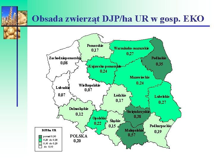 Obsada zwierząt DJP/ha UR w gosp. EKO Pomorskie 0, 17 Warmińsko-mazurskie 0, 27 Zachodniopomorskie