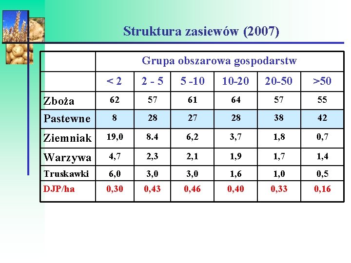 Struktura zasiewów (2007) Grupa obszarowa gospodarstw <2 2 -5 5 -10 10 -20 20