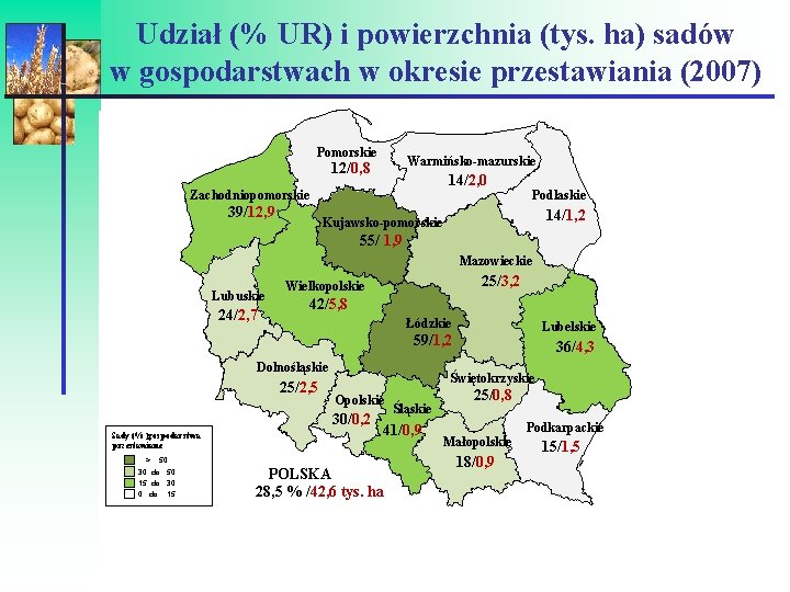 Udział (% UR) i powierzchnia (tys. ha) sadów w gospodarstwach w okresie przestawiania (2007)