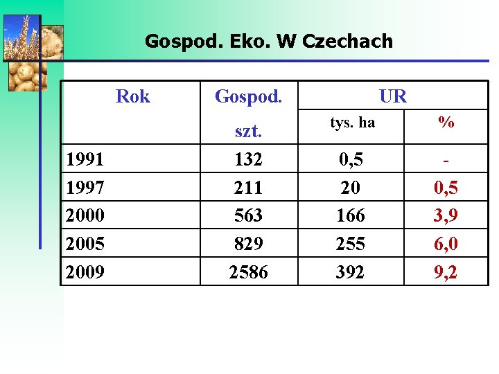 Gospod. Eko. W Czechach Rok 1991 1997 2000 2005 2009 Gospod. szt. 132 211