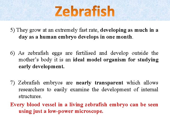 5) They grow at an extremely fast rate, developing as much in a day