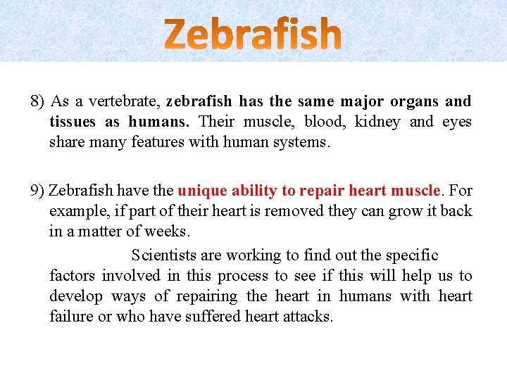 8) As a vertebrate, zebrafish has the same major organs and tissues as humans.
