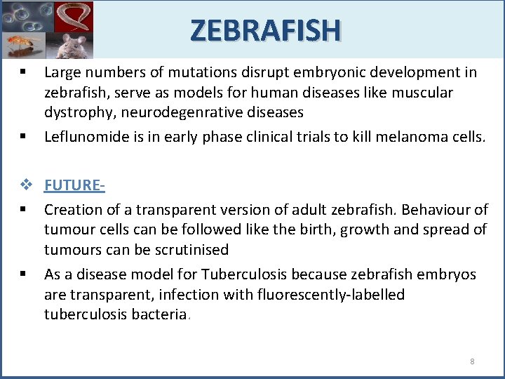  ZEBRAFISH § § Large numbers of mutations disrupt embryonic development in zebrafish, serve