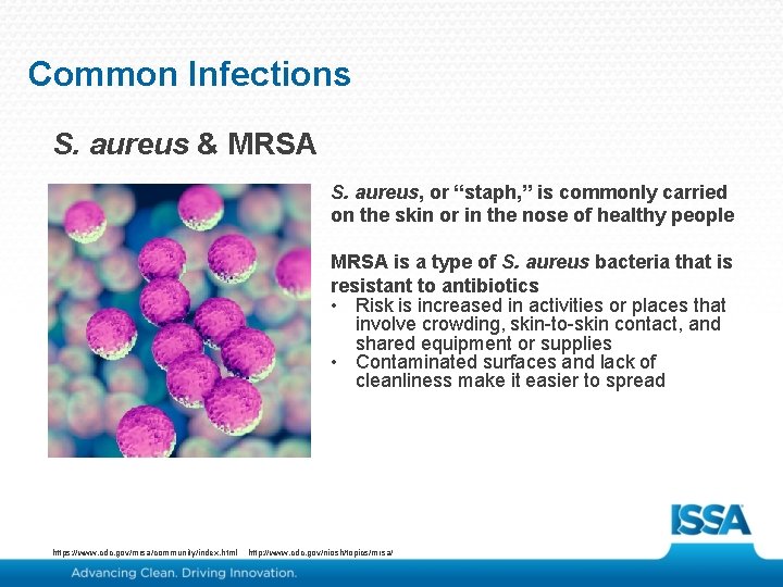 Common Infections S. aureus & MRSA S. aureus, or “staph, ” is commonly carried