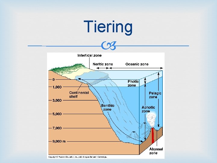 Tiering 
