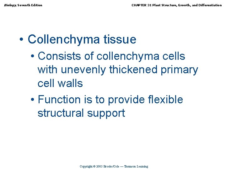 Biology, Seventh Edition CHAPTER 31 Plant Structure, Growth, and Differentiation • Collenchyma tissue •