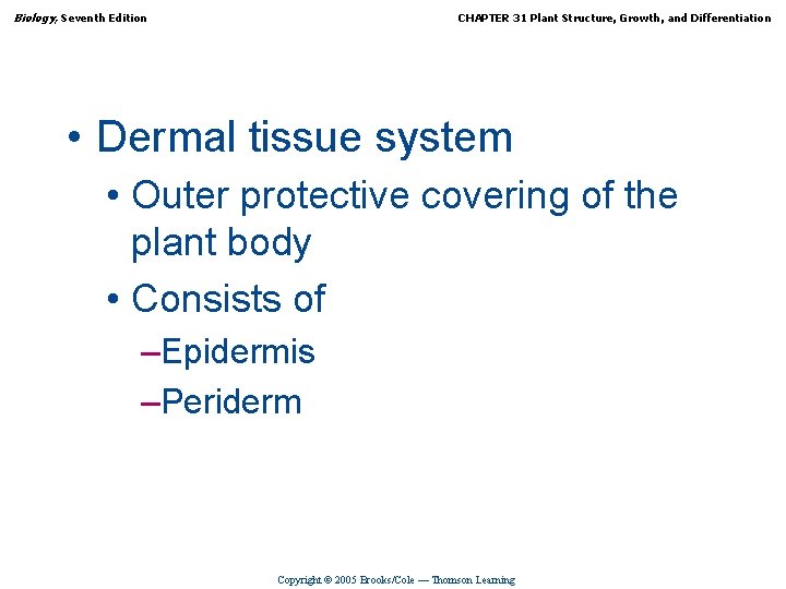 Biology, Seventh Edition CHAPTER 31 Plant Structure, Growth, and Differentiation • Dermal tissue system