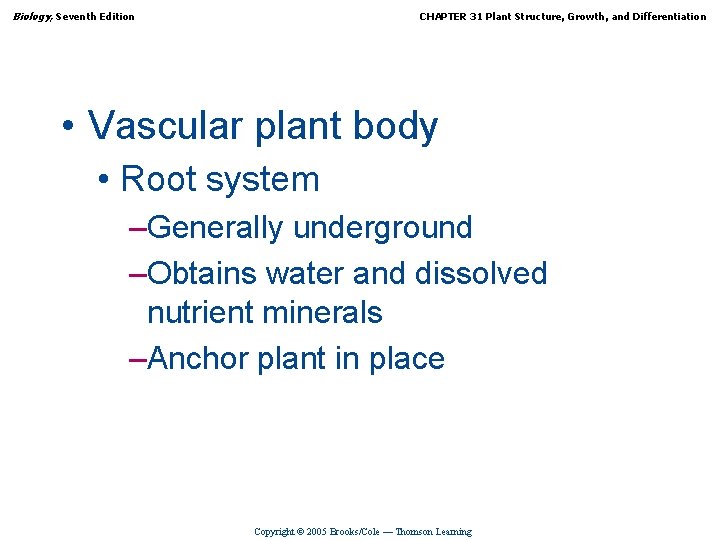 Biology, Seventh Edition CHAPTER 31 Plant Structure, Growth, and Differentiation • Vascular plant body