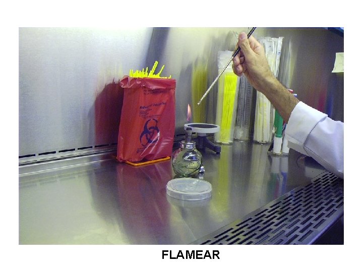 FLAMEAR 