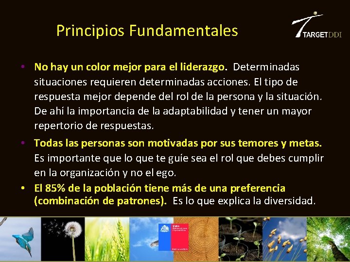 Principios Fundamentales • No hay un color mejor para el liderazgo. Determinadas situaciones requieren