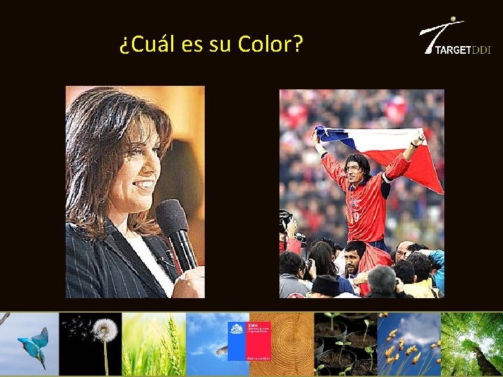 ¿Cuál es su Color? 