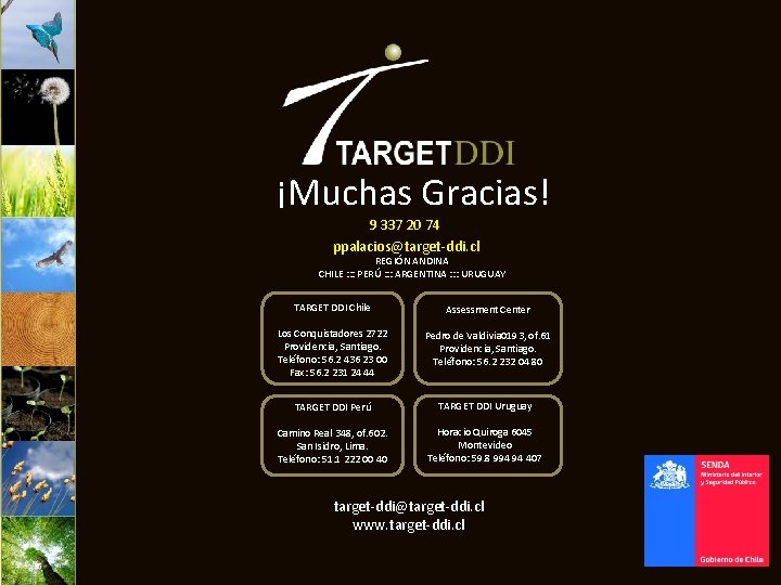 ¡Muchas Gracias! 9 337 20 74 ppalacios@target-ddi. cl REGIÓN ANDINA CHILE : : :
