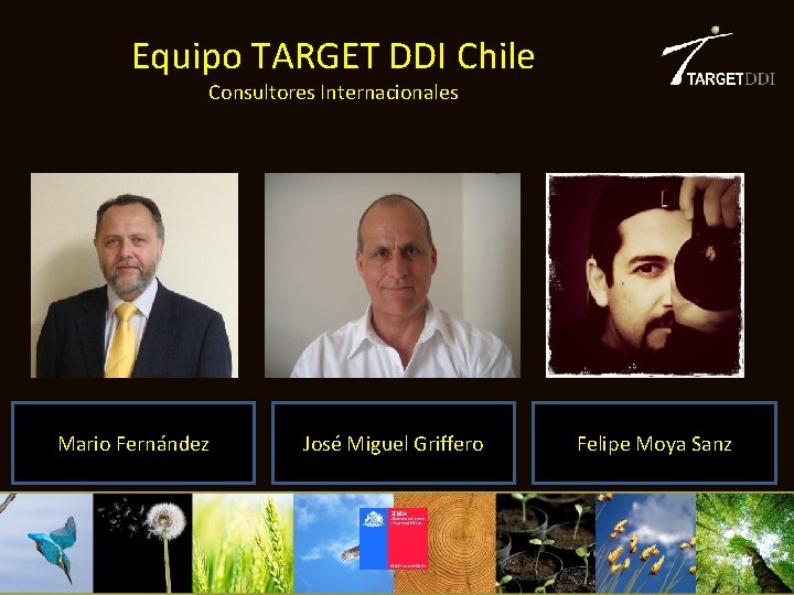 Equipo TARGET DDI Chile Consultores Internacionales Mario Fernández José Miguel Griffero Felipe Moya Sanz