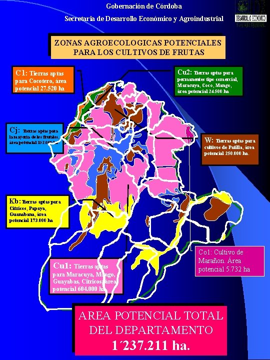 Gobernación de Córdoba Secretaria de Desarrollo Económico y Agroindustrial ZONAS AGROECOLOGICAS POTENCIALES PARA LOS