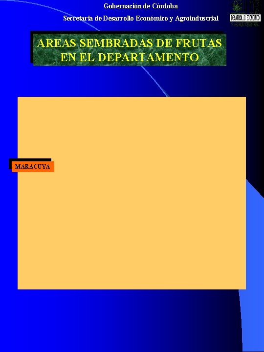 Gobernación de Córdoba Secretaria de Desarrollo Económico y Agroindustrial AREAS SEMBRADAS DE FRUTAS EN