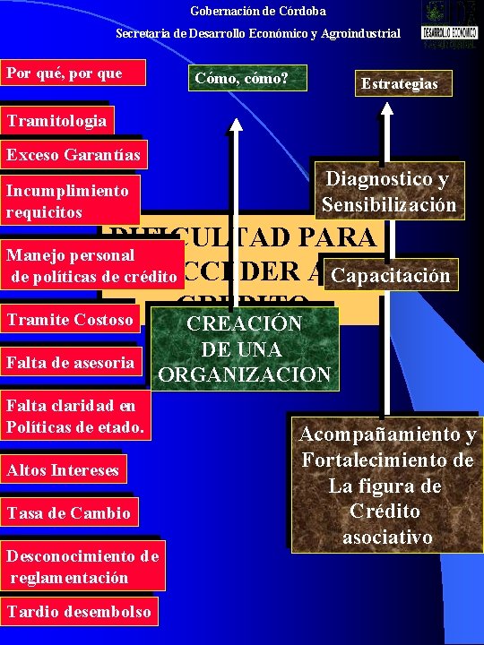 Gobernación de Córdoba Secretaria de Desarrollo Económico y Agroindustrial Por qué, por que Cómo,