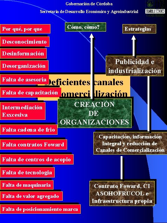 Gobernación de Córdoba Secretaria de Desarrollo Económico y Agroindustrial Cómo, cómo? Por qué, por