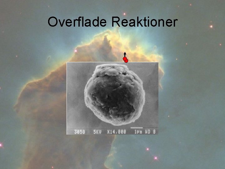 Overflade Reaktioner 