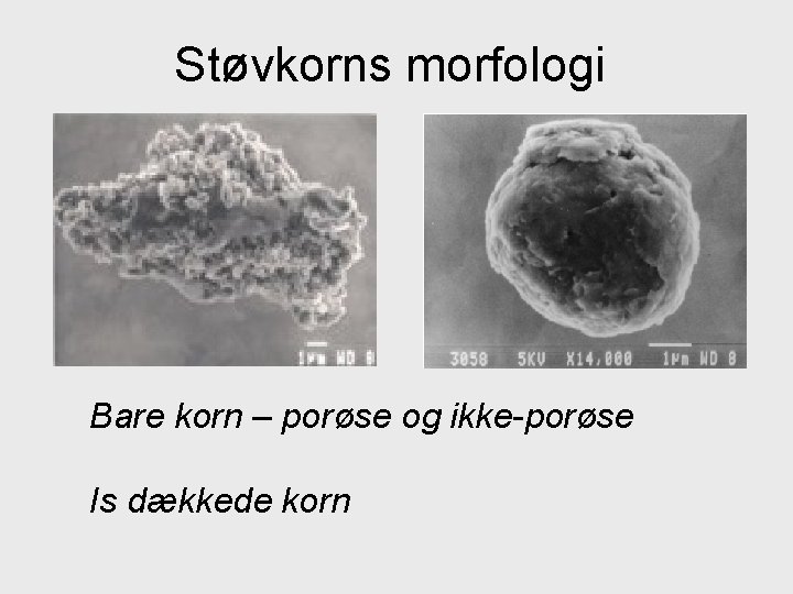 Støvkorns morfologi Bare korn – porøse og ikke-porøse Is dækkede korn 