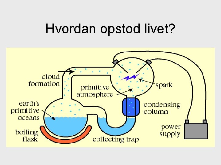 Hvordan opstod livet? 