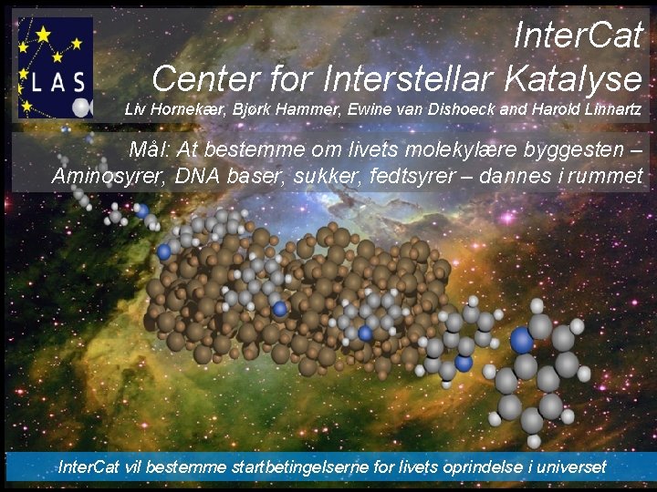 Inter. Cat Center for Interstellar Katalyse Liv Hornekær, Bjørk Hammer, Ewine van Dishoeck and