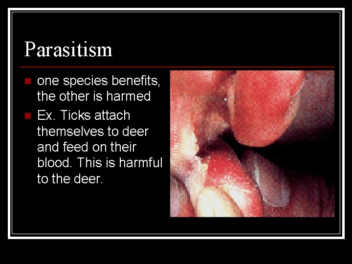 Parasitism n n one species benefits, the other is harmed Ex. Ticks attach themselves