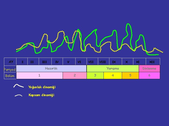 AY I II III V VI VIII Hazırlık Periyod Bölüm IV 1 Yoğunluk dinamiği
