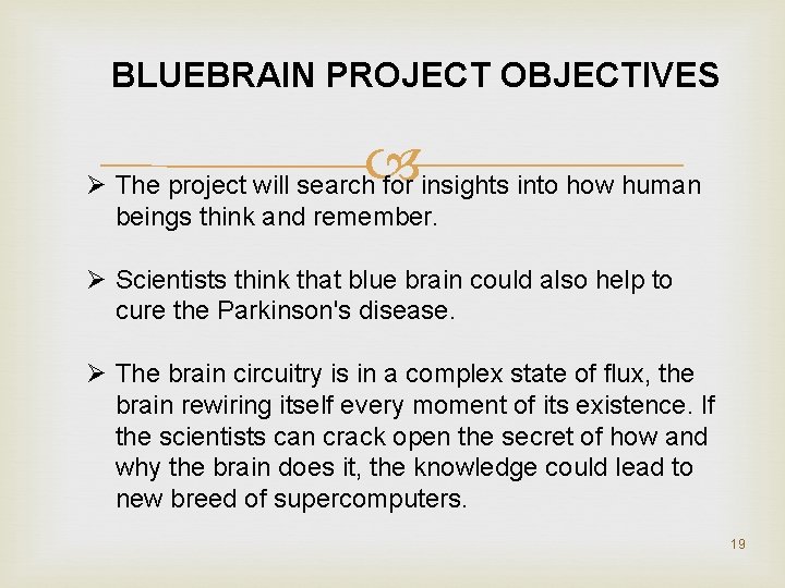 BLUEBRAIN PROJECT OBJECTIVES Ø The project will search for insights into how human beings
