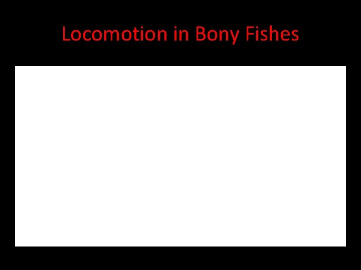 Locomotion in Bony Fishes 