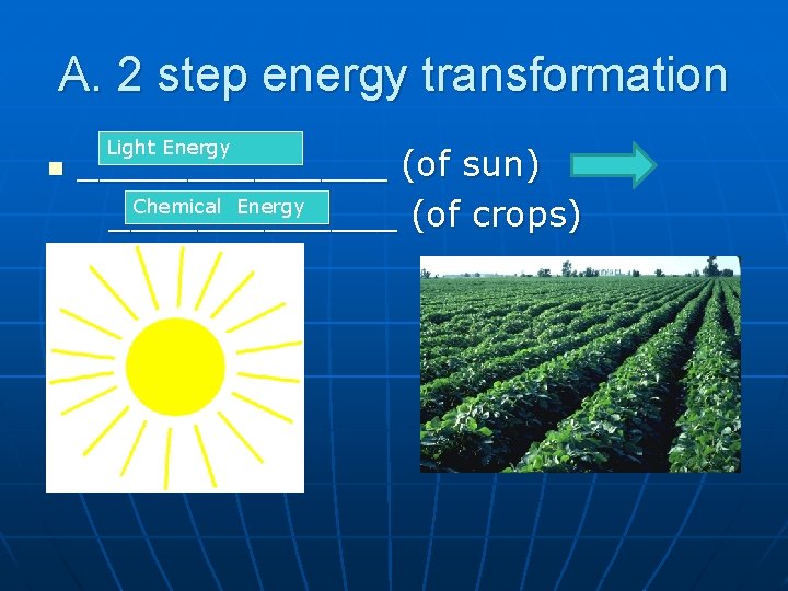 A. 2 step energy transformation n Light Energy _______ (of sun) Chemical Energy _______