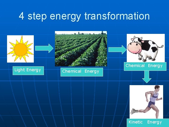 4 step energy transformation Light Energy Chemical Energy Kinetic Energy 