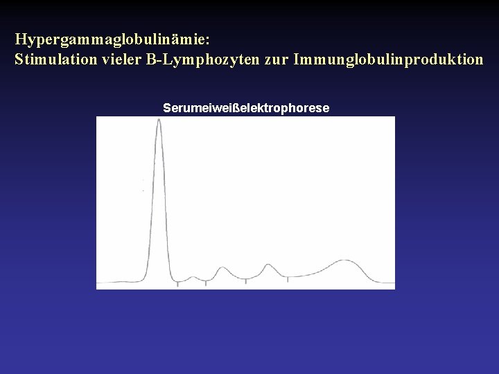 Hypergammaglobulinämie: Stimulation vieler B-Lymphozyten zur Immunglobulinproduktion Serumeiweißelektrophorese 