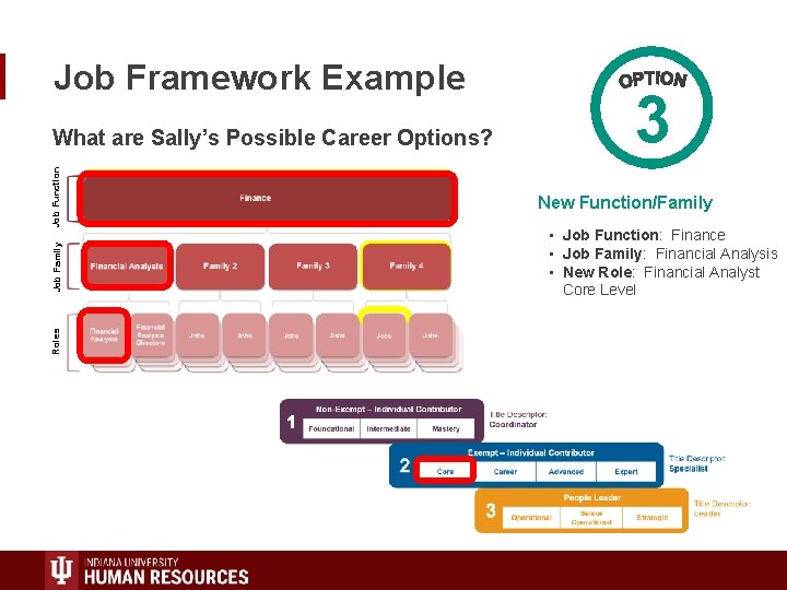 Job Framework Example Roles Job Family Job Function What are Sally’s Possible Career Options?